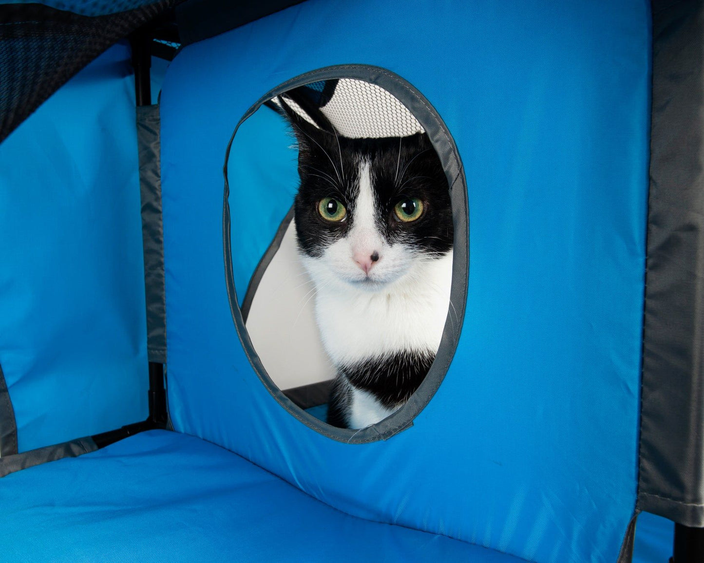 Purrfect Pet Kingdom Collapsible Cat House with Tunnel Purrfect Pet Kingdom