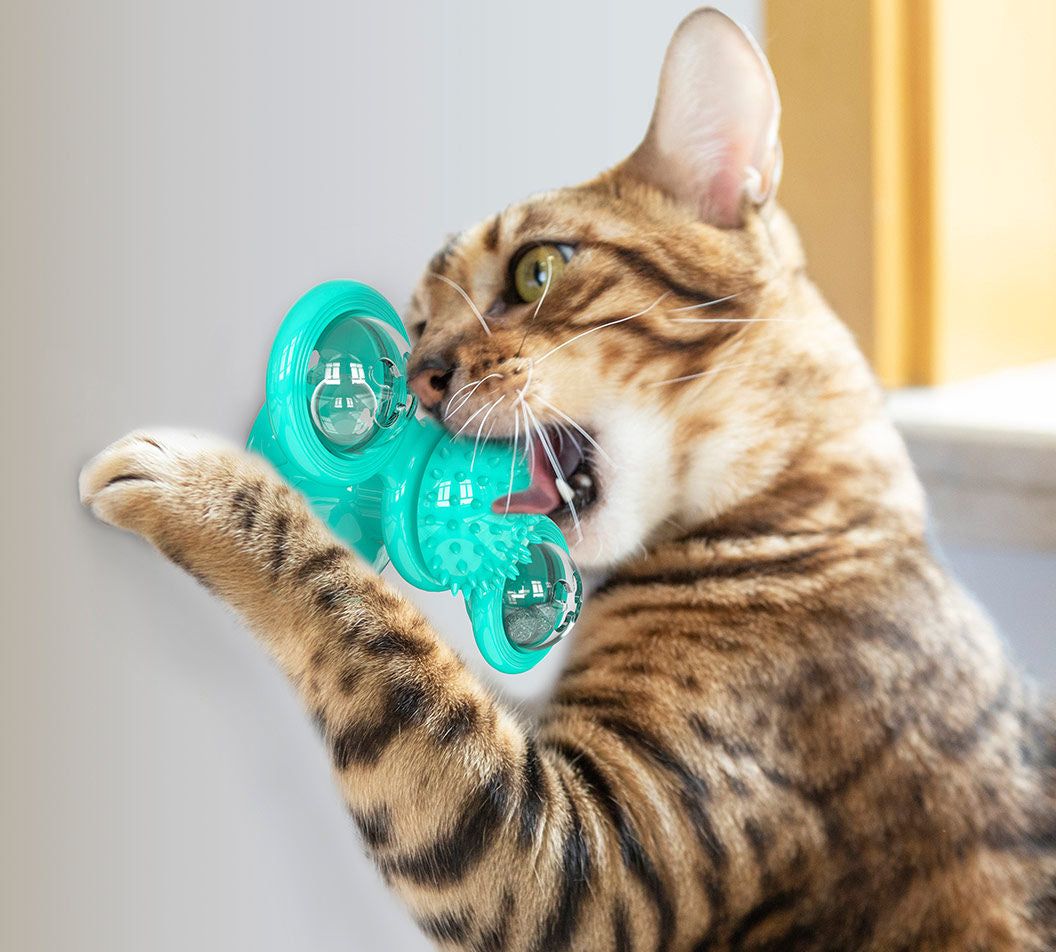 Purrfect Pet Kingdom Cat Enrichment Spinning Toy Purrfect Pet Kingdom