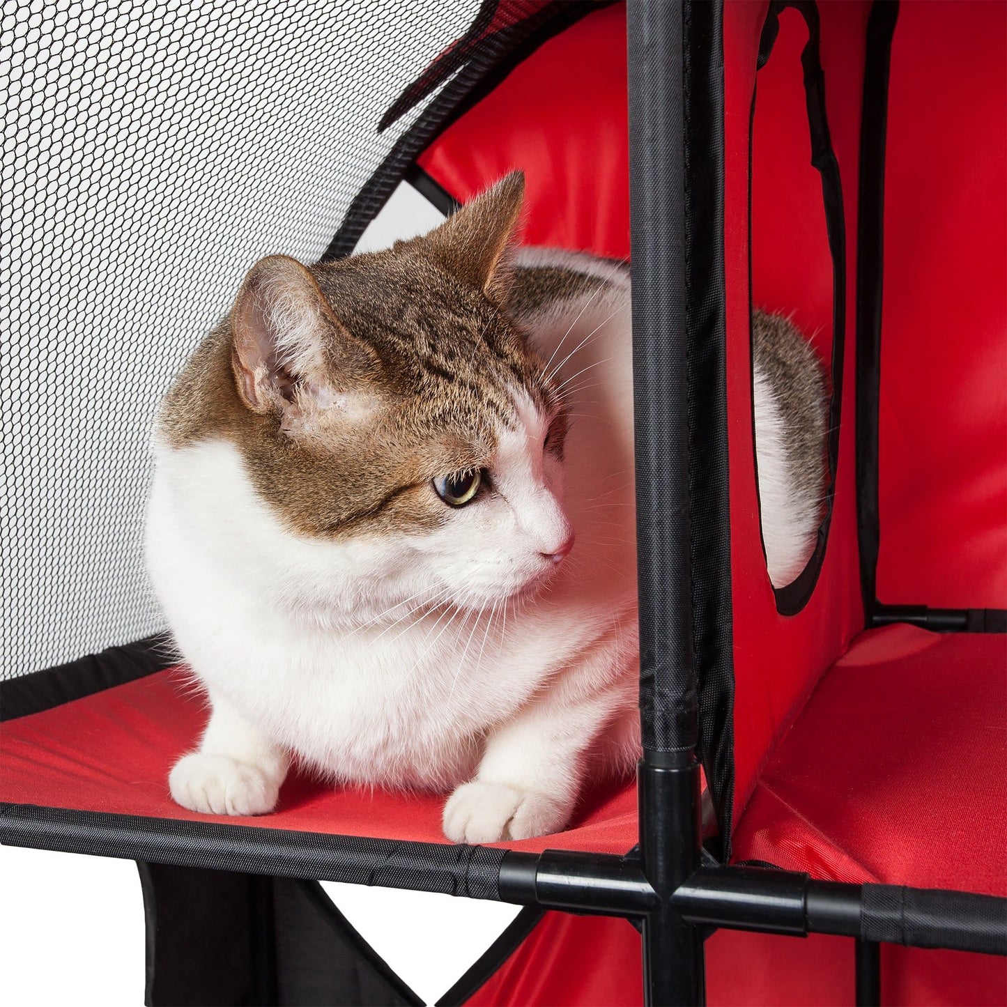 Purrfect Pet Kingdom Collapsible Cat House with Tunnel Purrfect Pet Kingdom