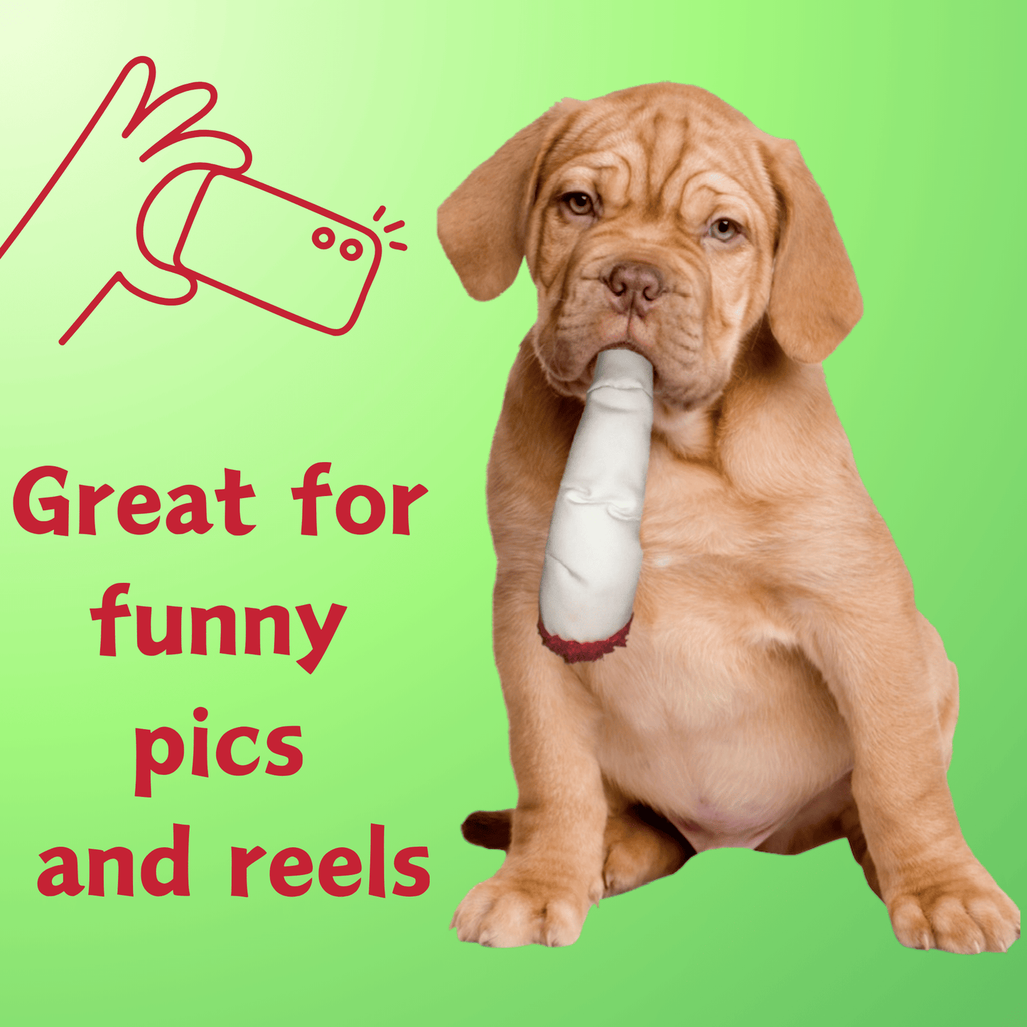 My Name is Jay, Cute Stuffed Parody Joint Dog Toy, Funny Squeaky Weed Toy, Cool Plush Novelty 420 Gift for Pets & Their Owners, Sized for Puppies & Small, Medium & Large Breeds, Fetch & a Photo Prop - Dog Toys Squeaking - Berry Charmz