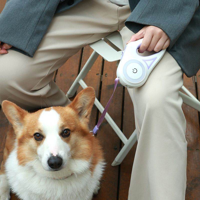 Purrfect Pet Kingdom Streamer LED Pet Leash - Safety Gear Purrfect Pet Kingdom