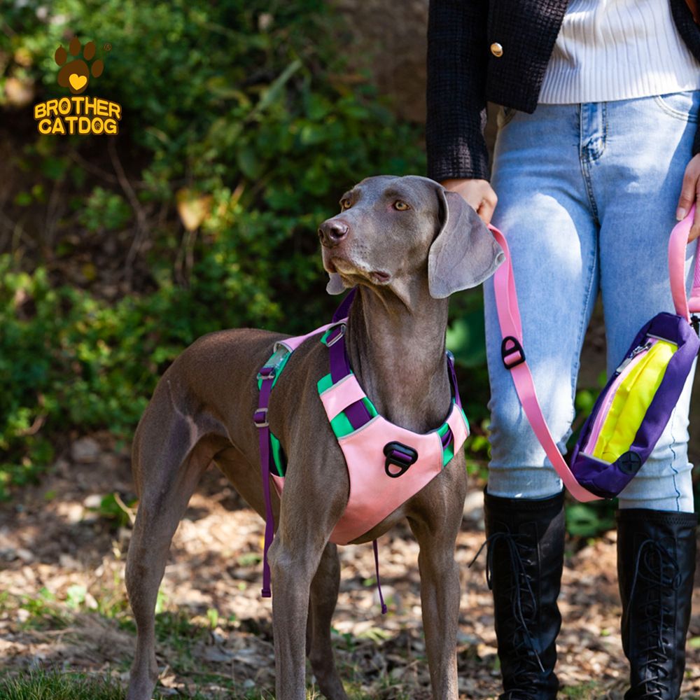 Purrfect Pet Kingdom No Pull Dog Harness Large Breed AN6-red-S Purrfect Pet Kingdom