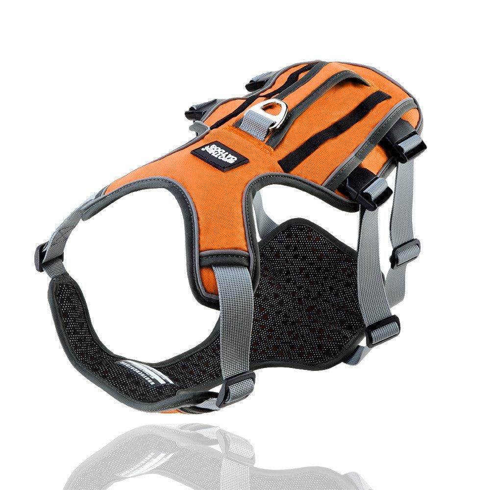 Purrfect Pet Kingdom Adjustable Reflective Harness for Pets L Orange Purrfect Pet Kingdom