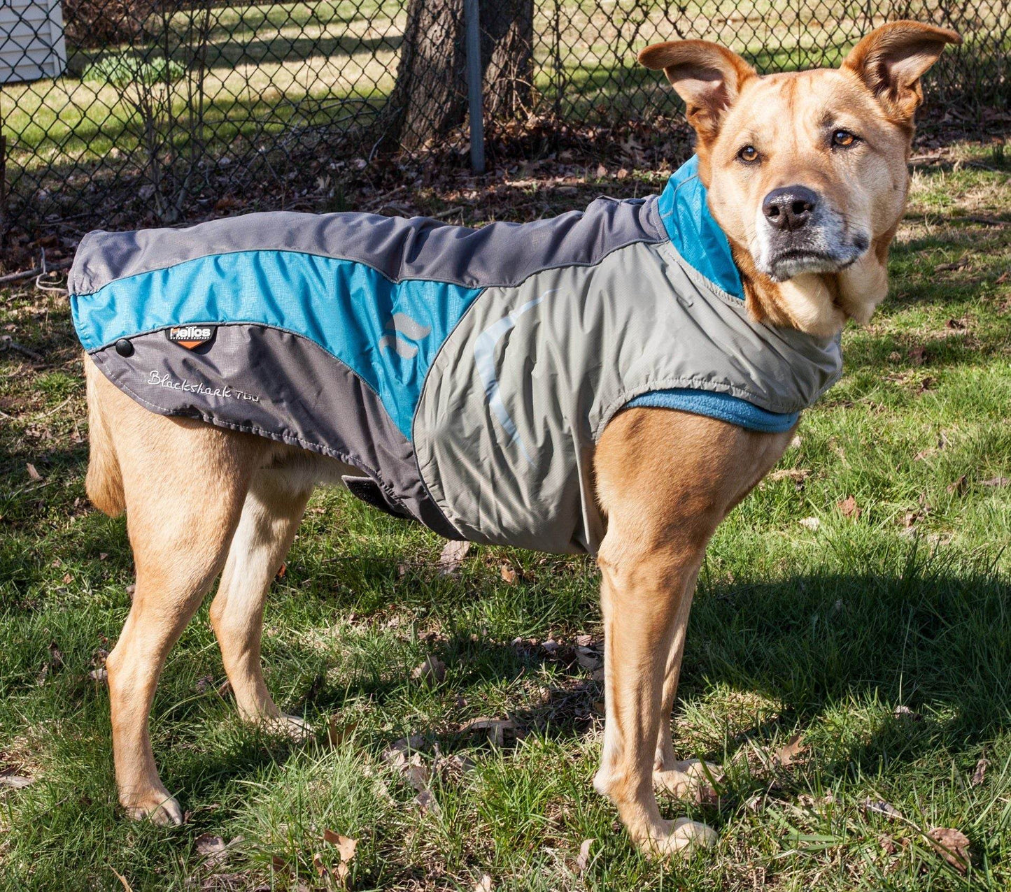 Pet Life Helios Lotus-Rusher Jacket by Purrfect Pet Kingdom - Purrfect Pet Kingdom
