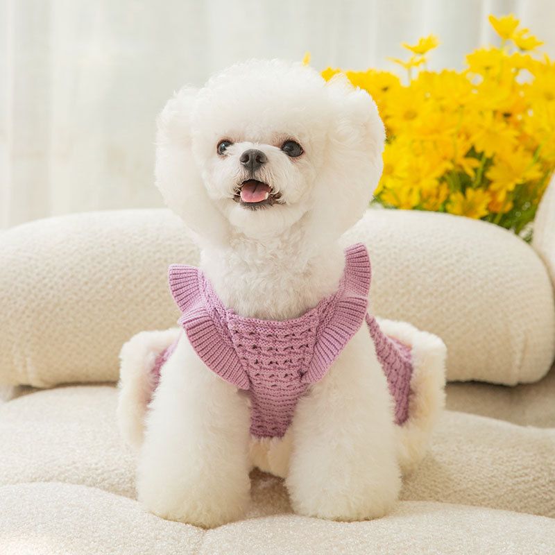 Warm Dog Sweater and Bow Skirt for Autumn and Winter - Thickened Dog Clothes Purrfect Pet Kingdom