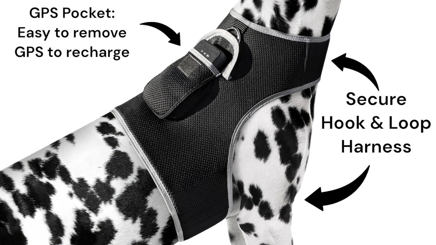Keep Pet Safe with Pet Tracker GPS Dog Collar Tracking Device + Phone App Size:M