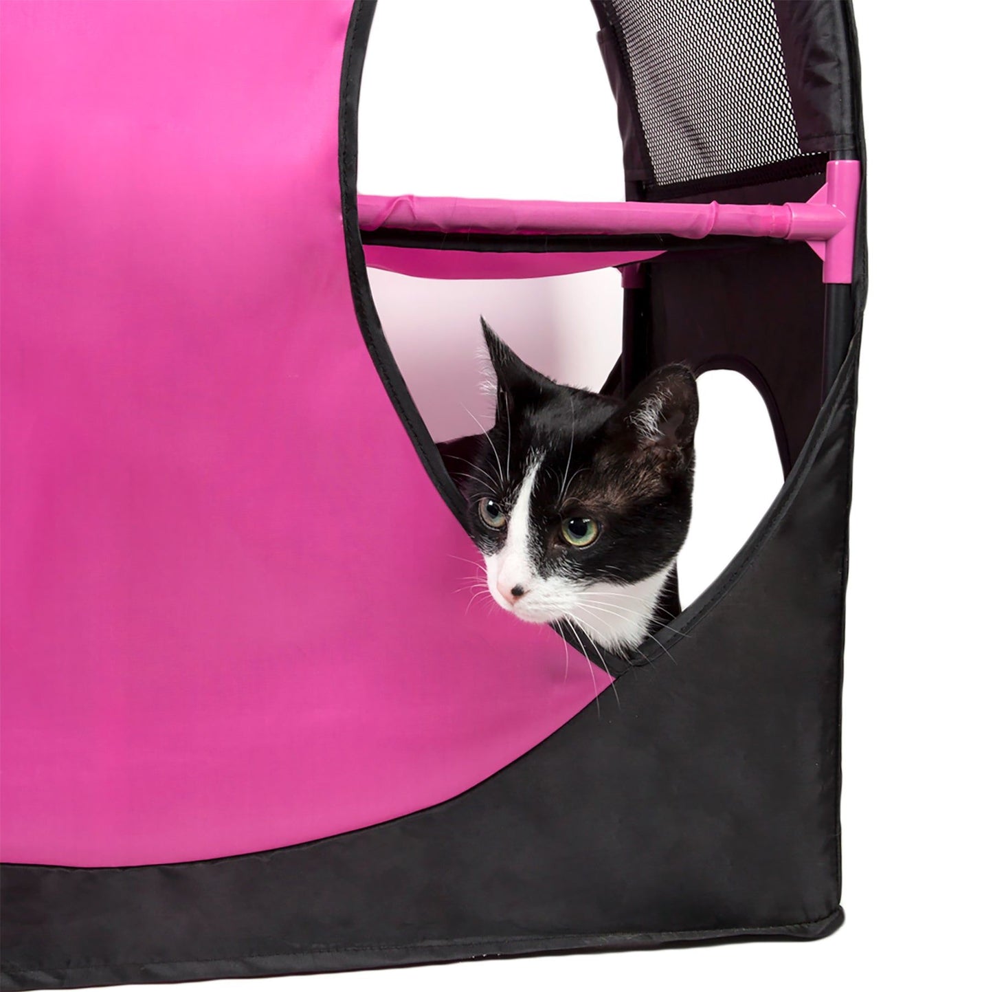 Purrfect Pet Kingdom Collapsible Cat House with Tunnel Purrfect Pet Kingdom