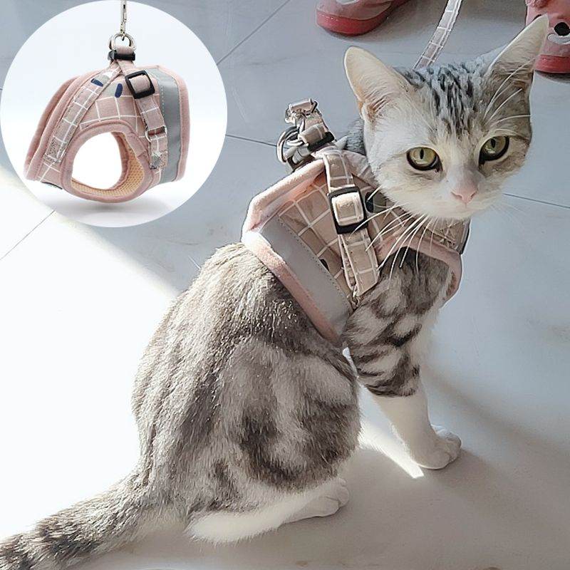 Purrfect Pet Kingdom Cat Harness and Leash Set, Adjustable No-Pull M-suit 3-4.5kg Black Mesh Purrfect Pet Kingdom