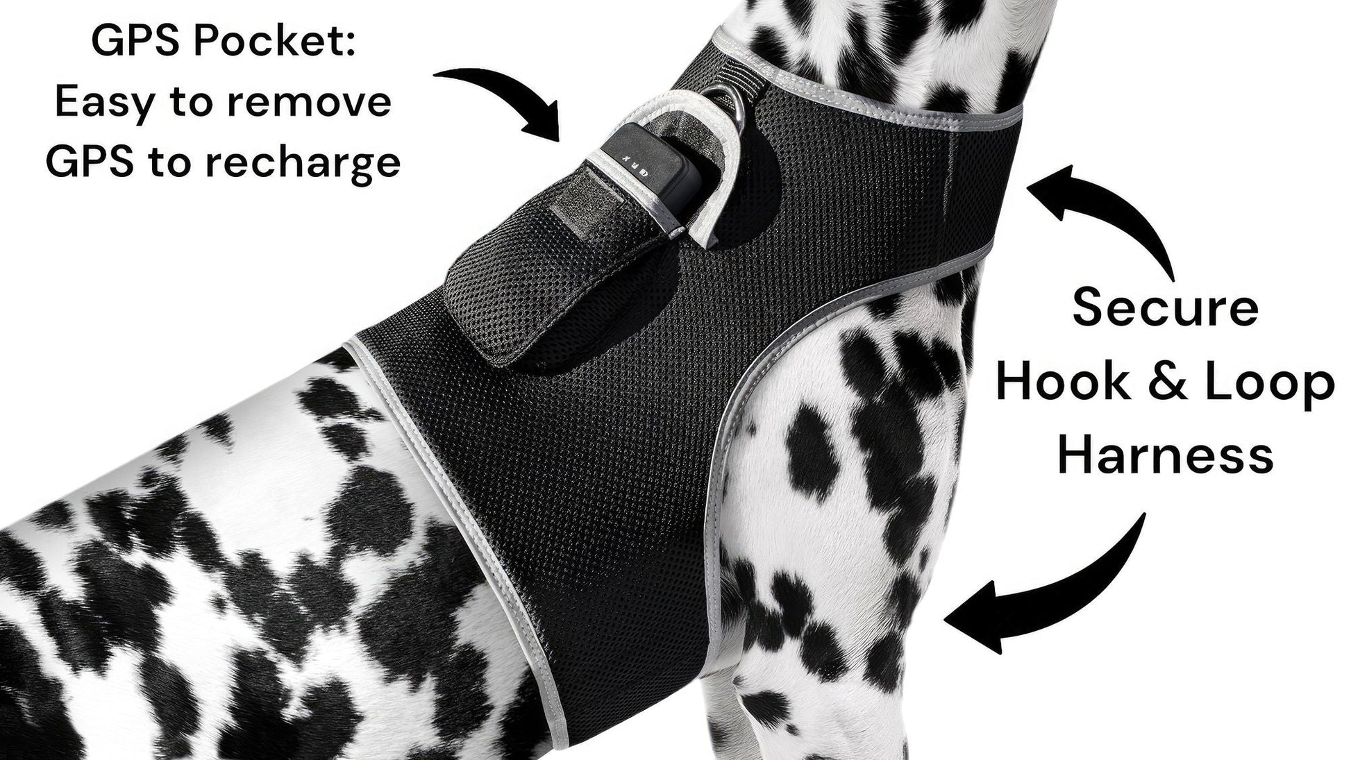 Pet Realtime Surveillance w/ Pet Tracker GPS Tracking Chip for Dogs + App Size:M - Pet GPS Tracking Collar - Berry Charmz