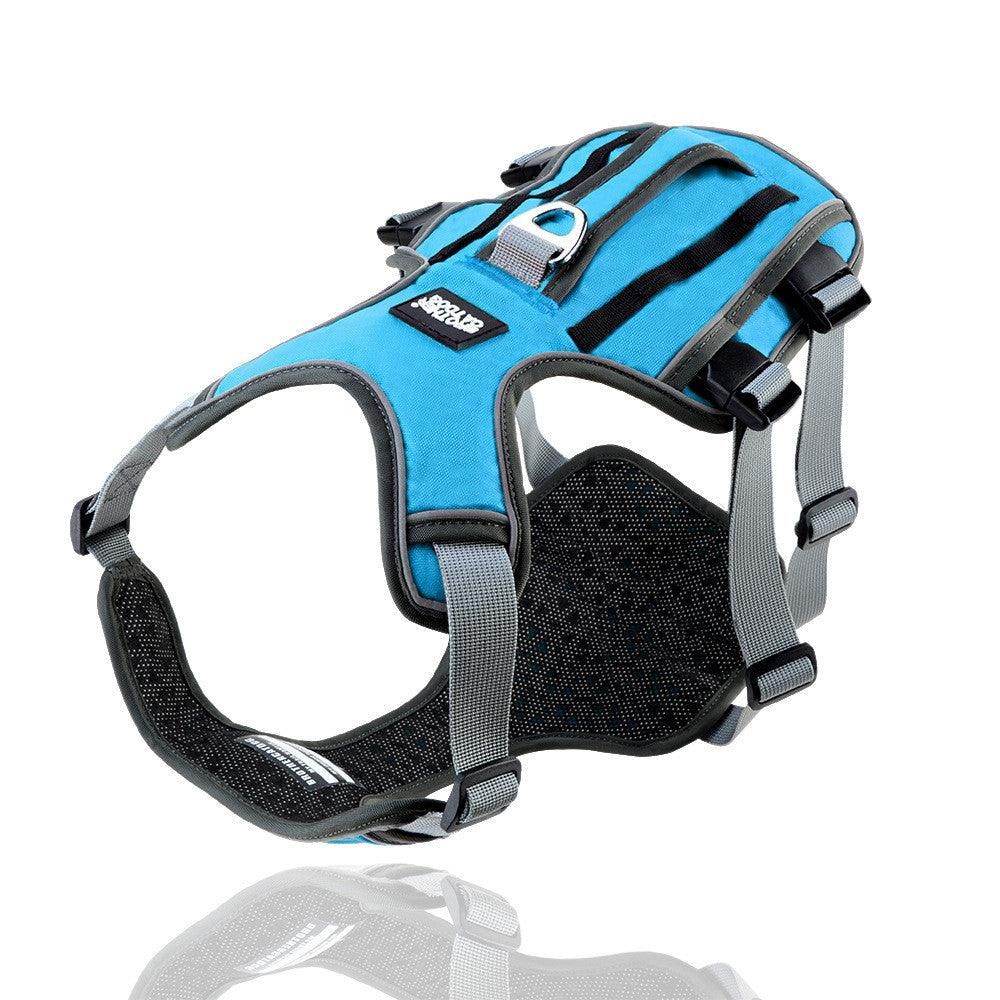 Purrfect Pet Kingdom Adjustable Reflective Harness for Pets M Blue Purrfect Pet Kingdom