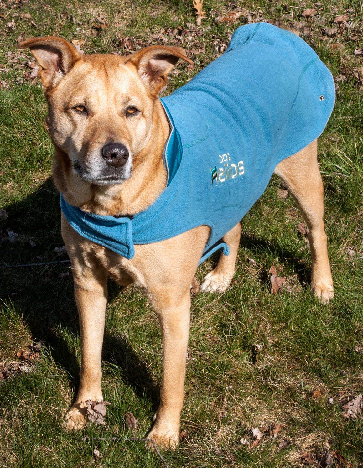 Pet Life Helios Lotus-Rusher Jacket by Purrfect Pet Kingdom - Purrfect Pet Kingdom