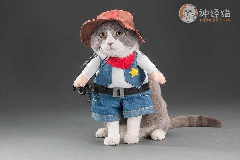 Purrfect Pet Kingdom Cowboy Funny Dog Outfits for Parties Purrfect Pet Kingdom