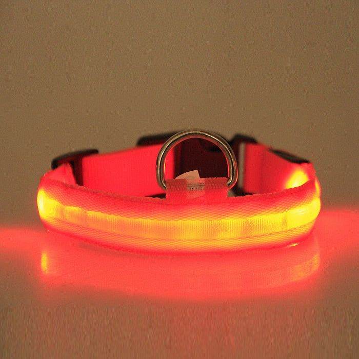 LED Safety Collar for Pets - PET Safety Halo Style Collar Purrfect Pet Kingdom