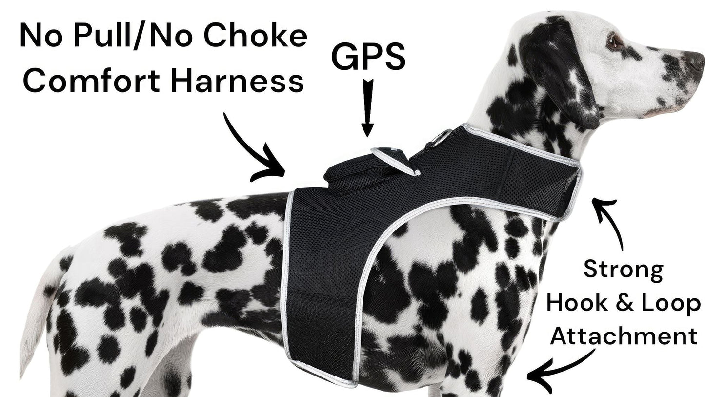 Collar Rechargeable Portable GPS Tracking Devices for Pets GSM Locator Size:XS - Pet GPS Tracking Collar - Berry Charmz