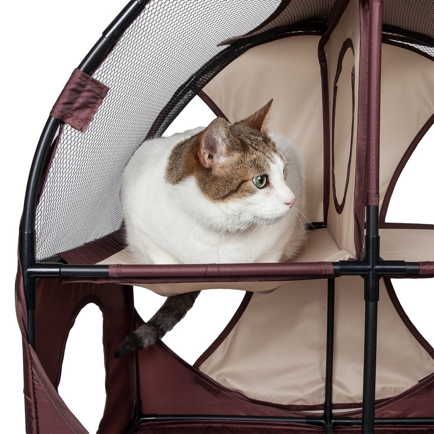 Purrfect Pet Kingdom Collapsible Cat House with Tunnel Purrfect Pet Kingdom
