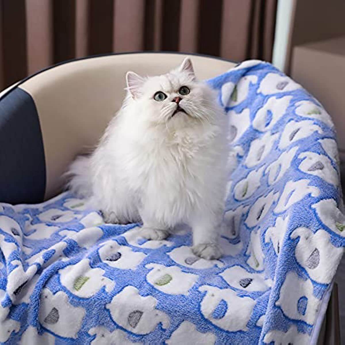 Purrfect Pet Kingdom Cute Dog and Cat Blankets - Soft & Cozy Purrfect Pet Kingdom