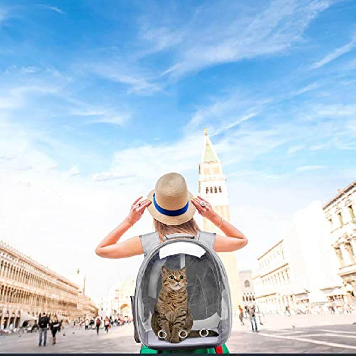 Purrfect Pet Kingdom Cat Astronaut Backpack for Travel - Purrfect Pet Kingdom
