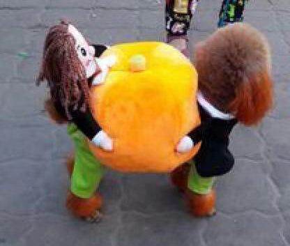 Purrfect Pet Kingdom Funny Halloween Outfits for Pets Purrfect Pet Kingdom