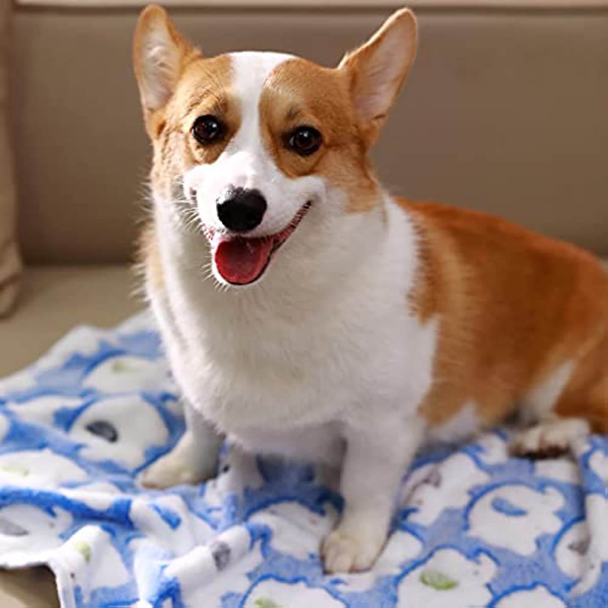 Purrfect Pet Kingdom Cute Dog and Cat Blankets - Soft & Cozy Purrfect Pet Kingdom