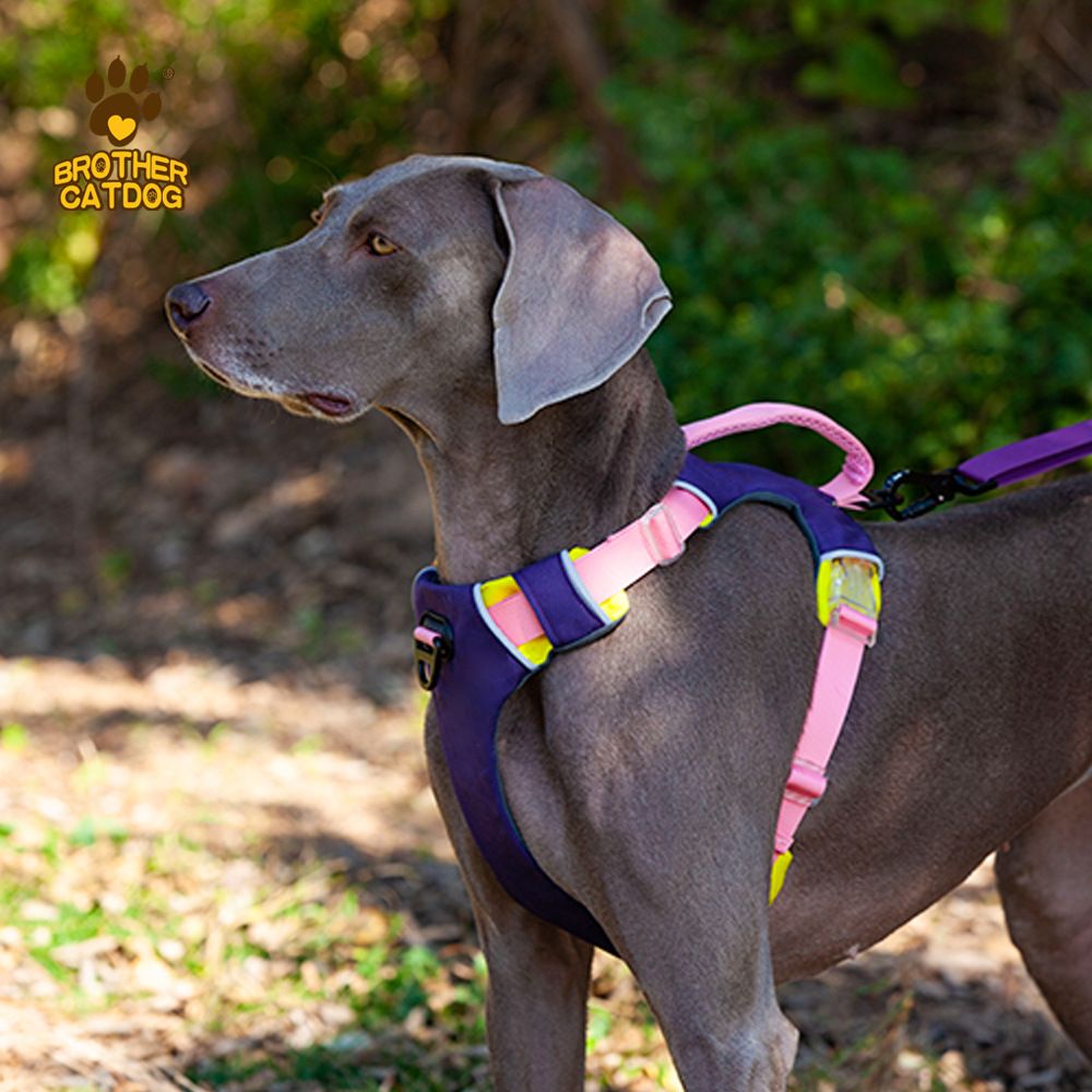 Purrfect Pet Kingdom No Pull Dog Harness Large Breed Purrfect Pet Kingdom