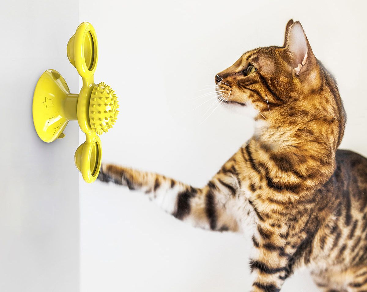 Purrfect Pet Kingdom Cat Enrichment Spinning Toy Purrfect Pet Kingdom
