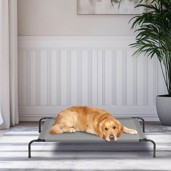 Purrfect Pet Kingdom Durable Dog Bed for Big Breeds Purrfect Pet Kingdom