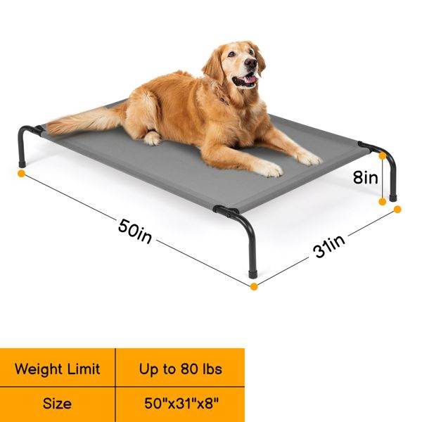 Purrfect Pet Kingdom Durable Dog Bed for Big Breeds Purrfect Pet Kingdom