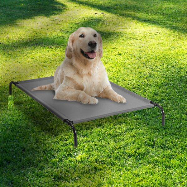 Purrfect Pet Kingdom Durable Dog Bed for Big Breeds Purrfect Pet Kingdom