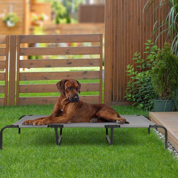 Purrfect Pet Kingdom Durable Orthopedic Dog Bed 60 Inch Purrfect Pet Kingdom