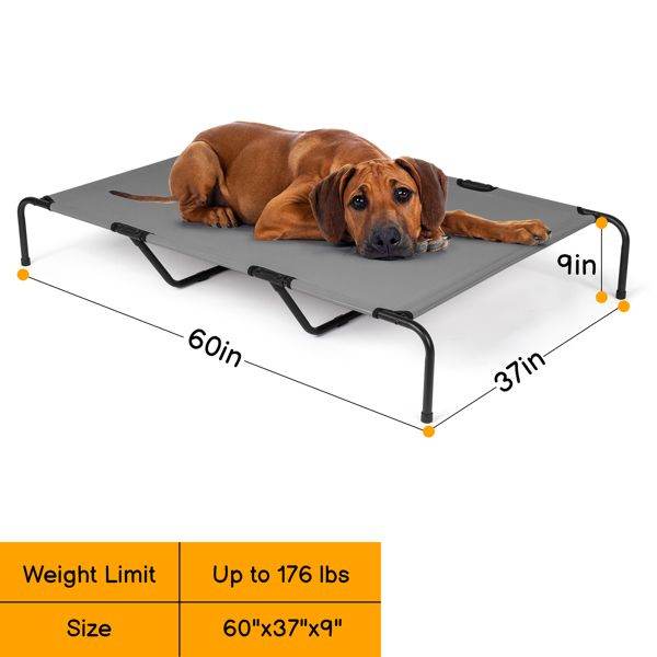 Purrfect Pet Kingdom Durable Orthopedic Dog Bed 60 Inch Purrfect Pet Kingdom