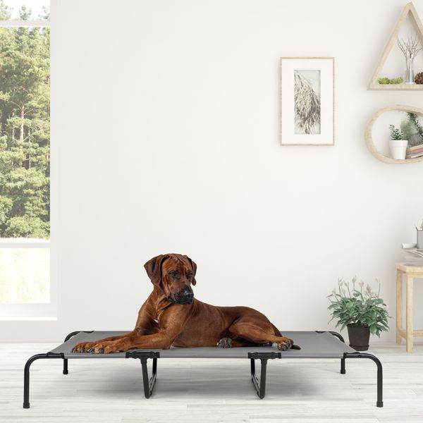 Purrfect Pet Kingdom Durable Orthopedic Dog Bed 60 Inch Purrfect Pet Kingdom