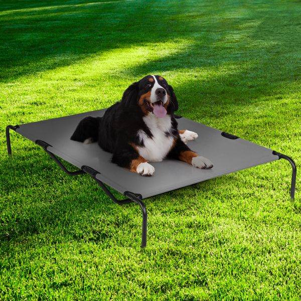 Purrfect Pet Kingdom Durable Orthopedic Dog Bed 60 Inch Purrfect Pet Kingdom