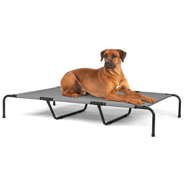 Purrfect Pet Kingdom Durable Orthopedic Dog Bed 60 Inch as picture Purrfect Pet Kingdom