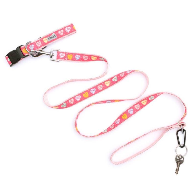 Puppy Love Hearts Pink Dog Leash - 2 Sizes