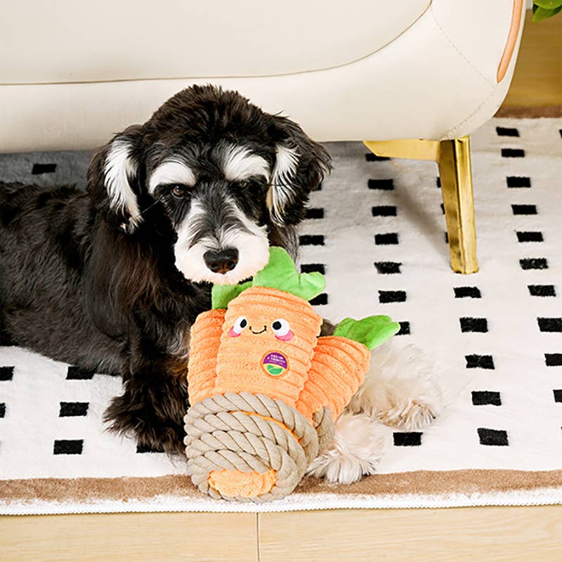 Puppy Garden Bunch of Carrots Rope Plush Dog Toy