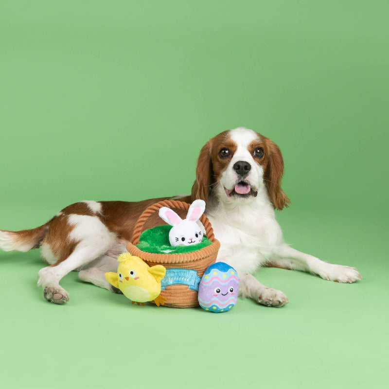 Easter Egg Hunt Squad Hide N Seek Interactive Plush Dog Toy Set - 4 Pc
