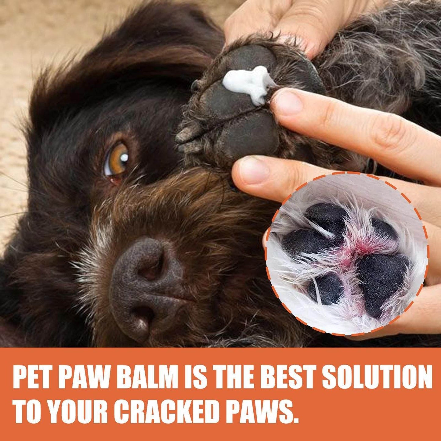 Purrfect Pet Kingdom Natural Paw Protection for Pets Balm Purrfect Pet Kingdom