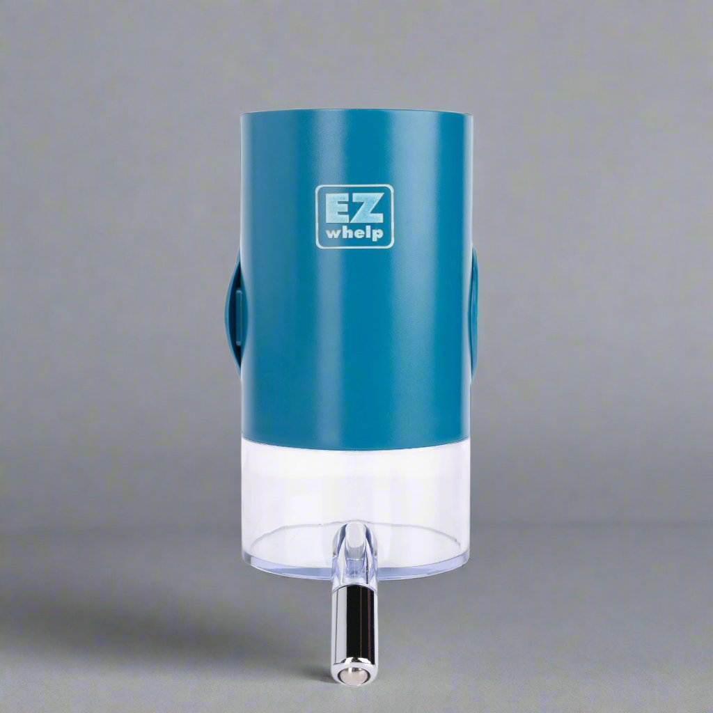 EZclassic pet water bottle 16 oz in teal with easy-grip design for convenient hydration on the go