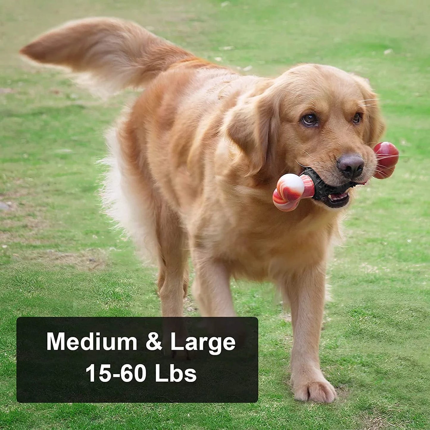 Dog Chew Toy Bone Aggressive Chewers Indestructible 🦴