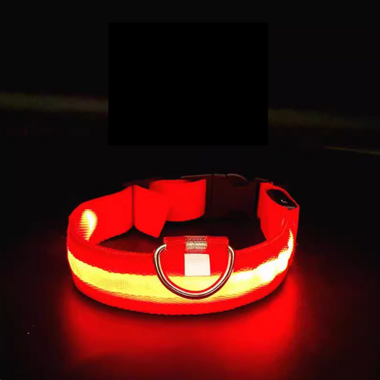Milou & Lumi LED Glowing Pet Collar - Red