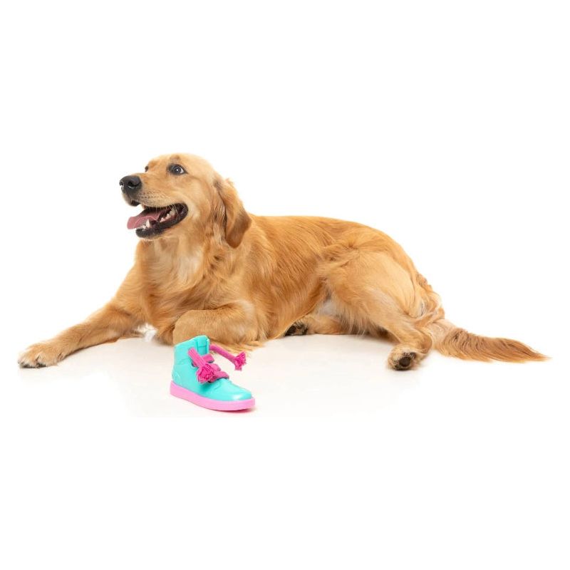 Fresh Kicks N' Licks Teal and Pink Chew Dog Toy
