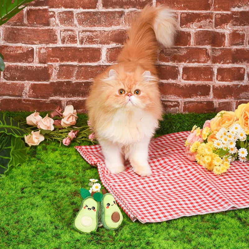 Crazy Catcher Avocado Cat Toy Set - 2 Pc