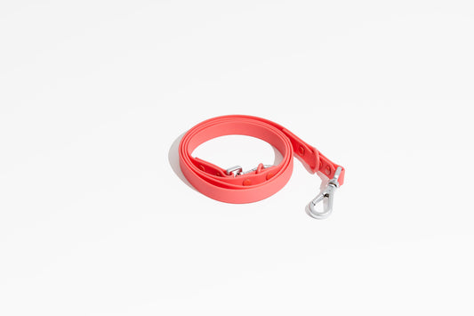 Luxe Leash - Poppy Dog Leash | Purrfect Pet Kingdom
