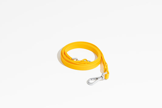 Luxe Leash - Soleil