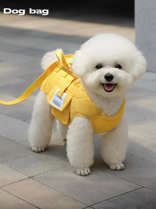 Pet Carrier - Portable Safety Harness Travel Carrier