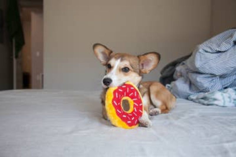 Holiday Cherry Red Donutz Sprinkles Squeaky Dog Toy