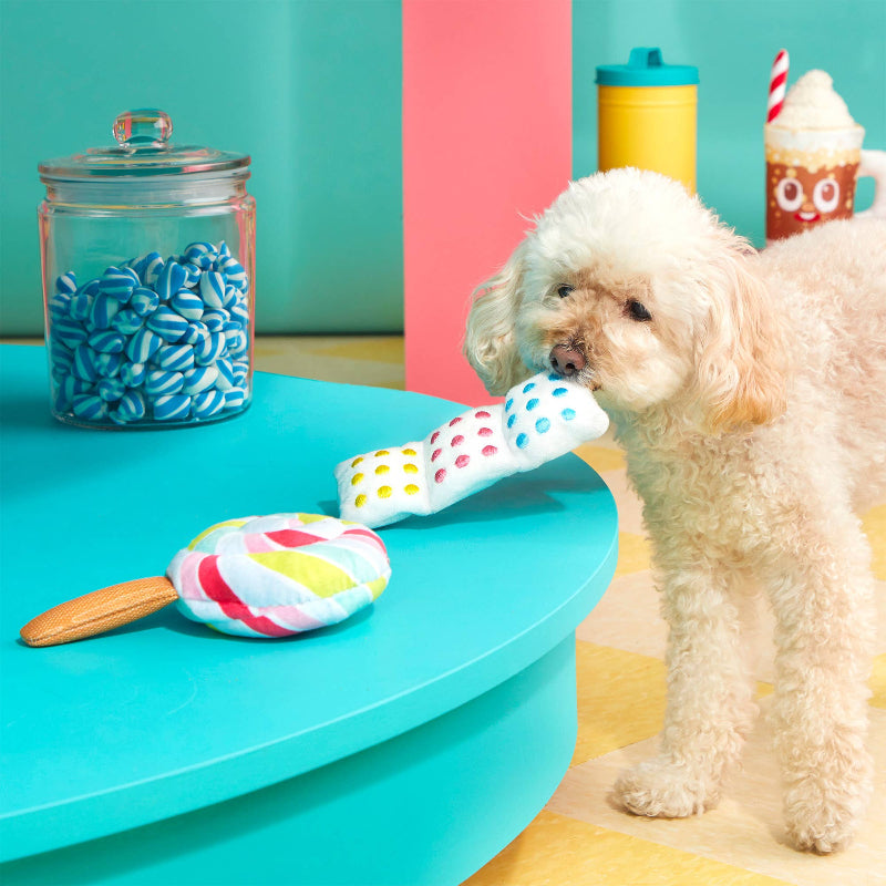 Lolly Palooza Plush Dog Toy Set - 2 Pc