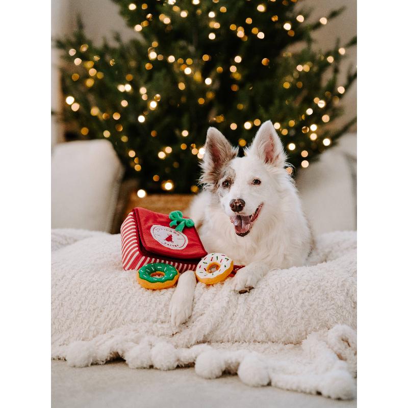 Holiday Burrow Donutz Box Plush Dog Toy Set - 4 Pc