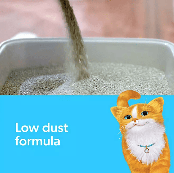 Purrfect Pet Kingdom Fresh Step litter for multiple cats with low dust formula pouring into litter box