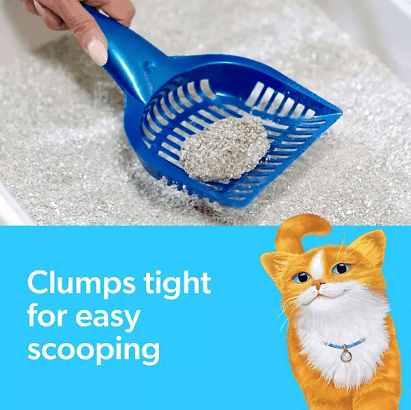 Clumping Fresh Step litter for multiple cats being scooped with a blue litter scoop showing easy removal